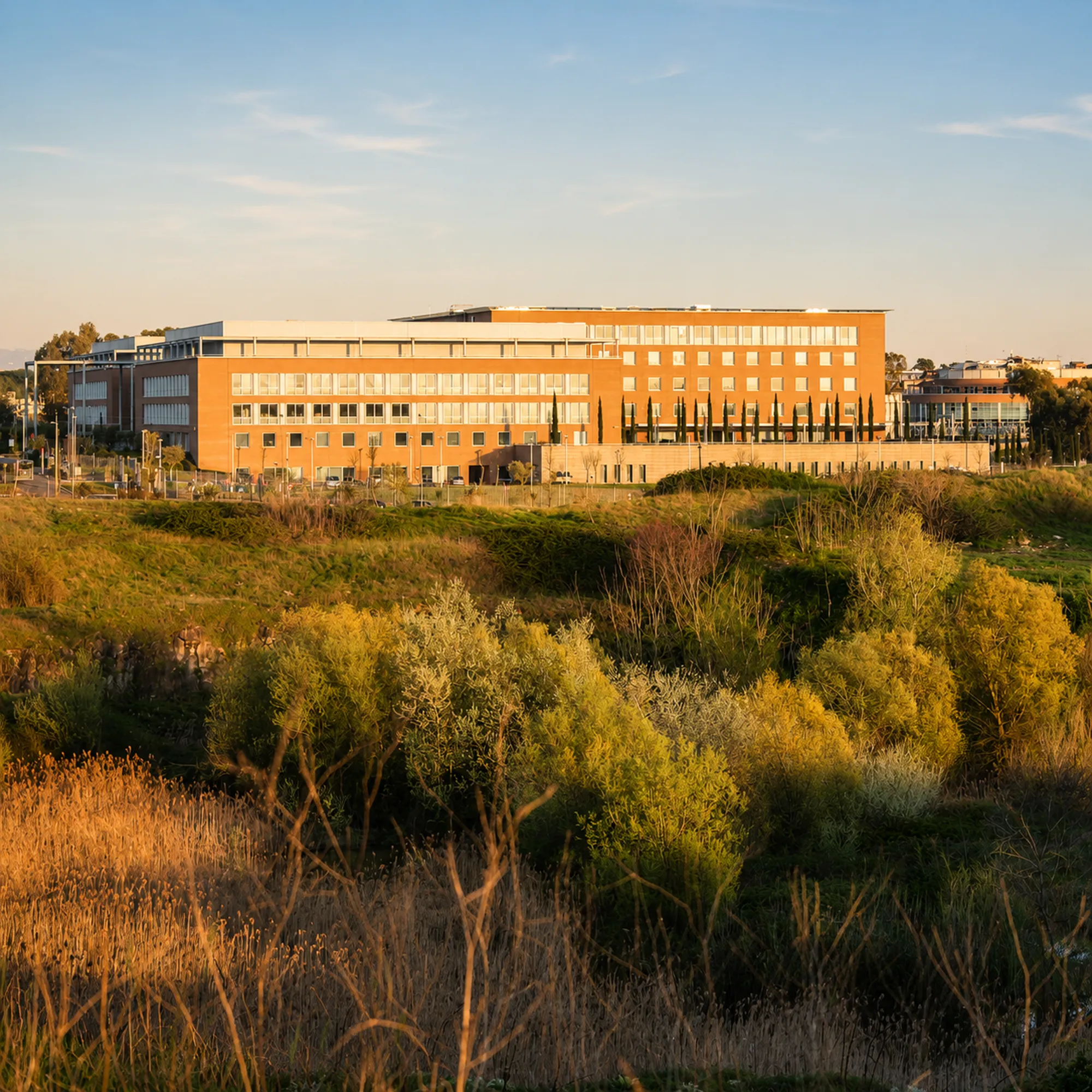 campus biomedico--domo-student-living-roma--quadrata